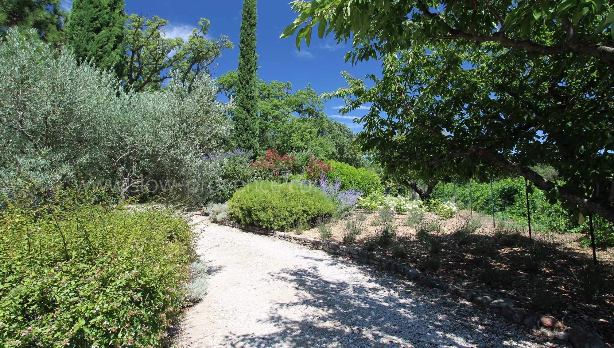 Grand jardin entièrement clôturé