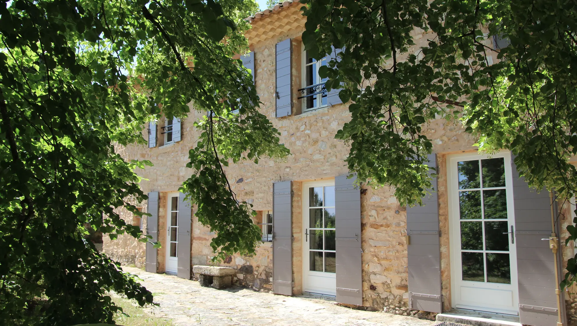 Devant le mas, un vieux tilleul et les vignes...