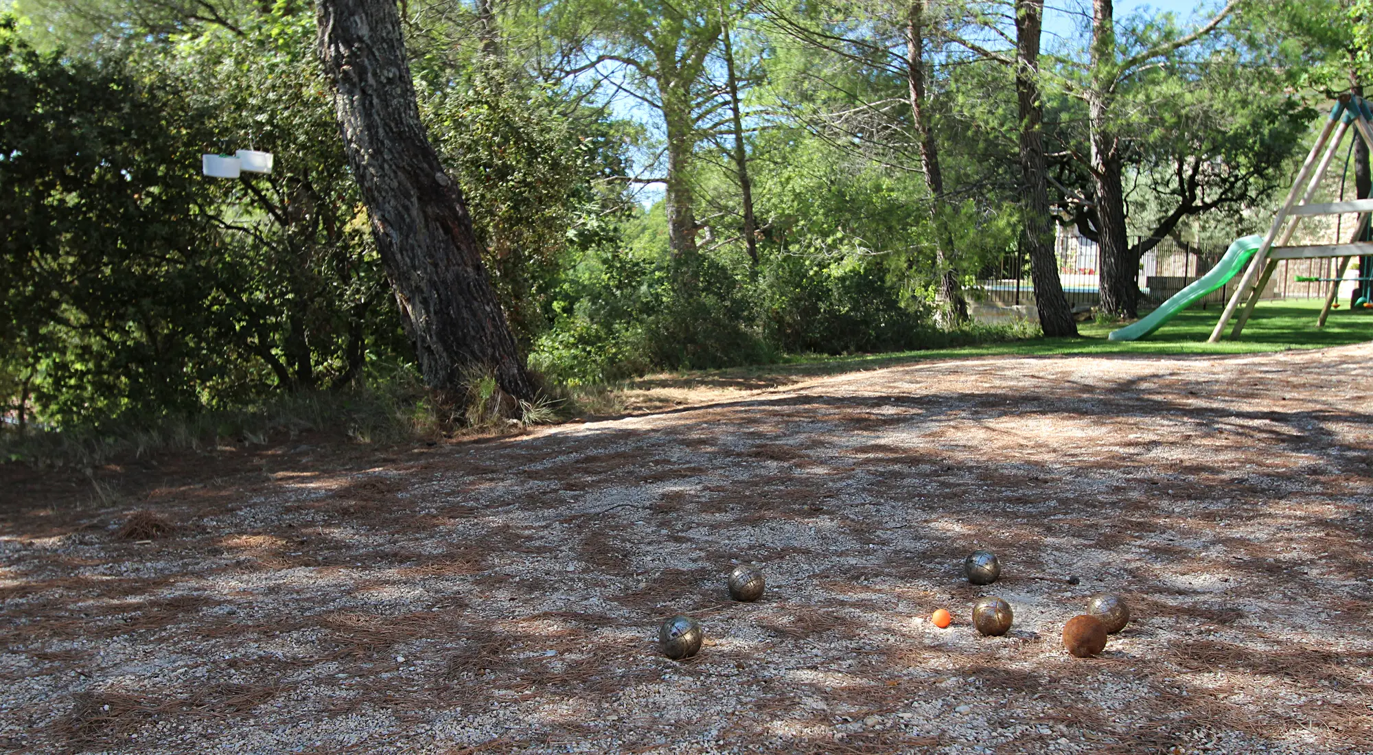 Petanque l'ombre des grands pins