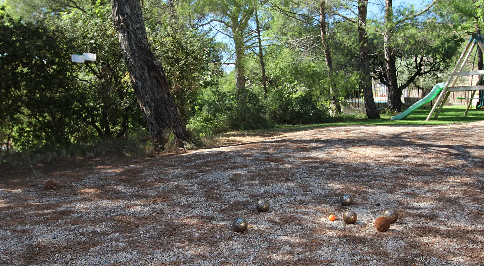 Petanque l'ombre des grands pins