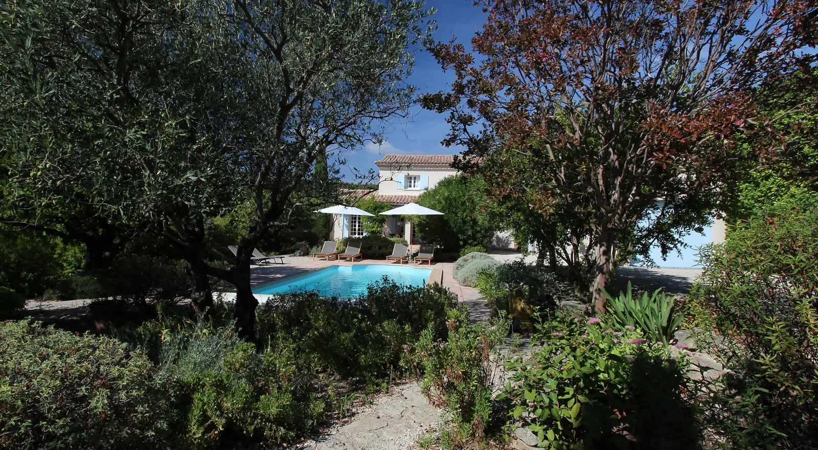Un grand jardin avec des arbres fruitiers