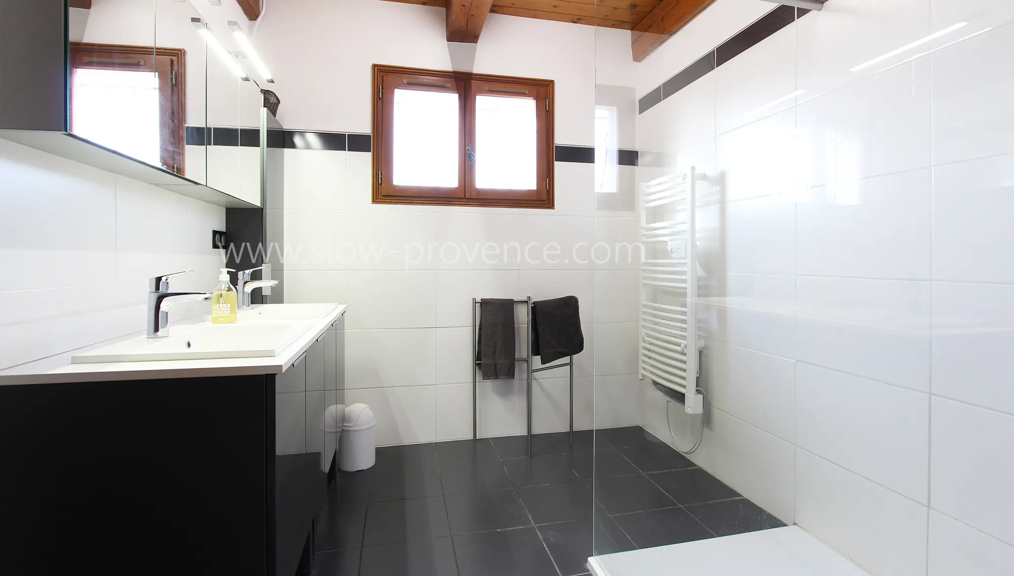 Salle de douche 1
