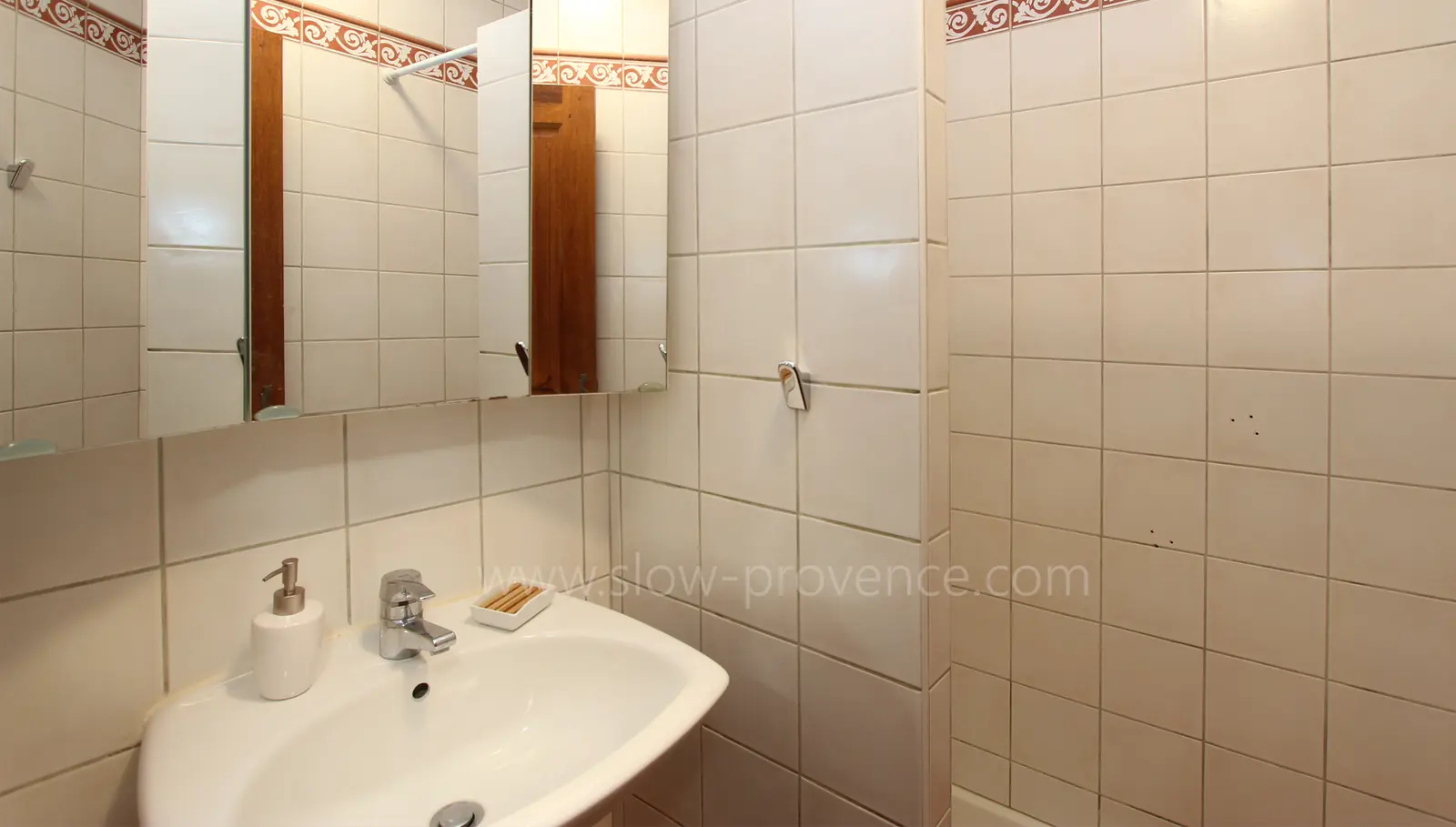 Salle de douche 1