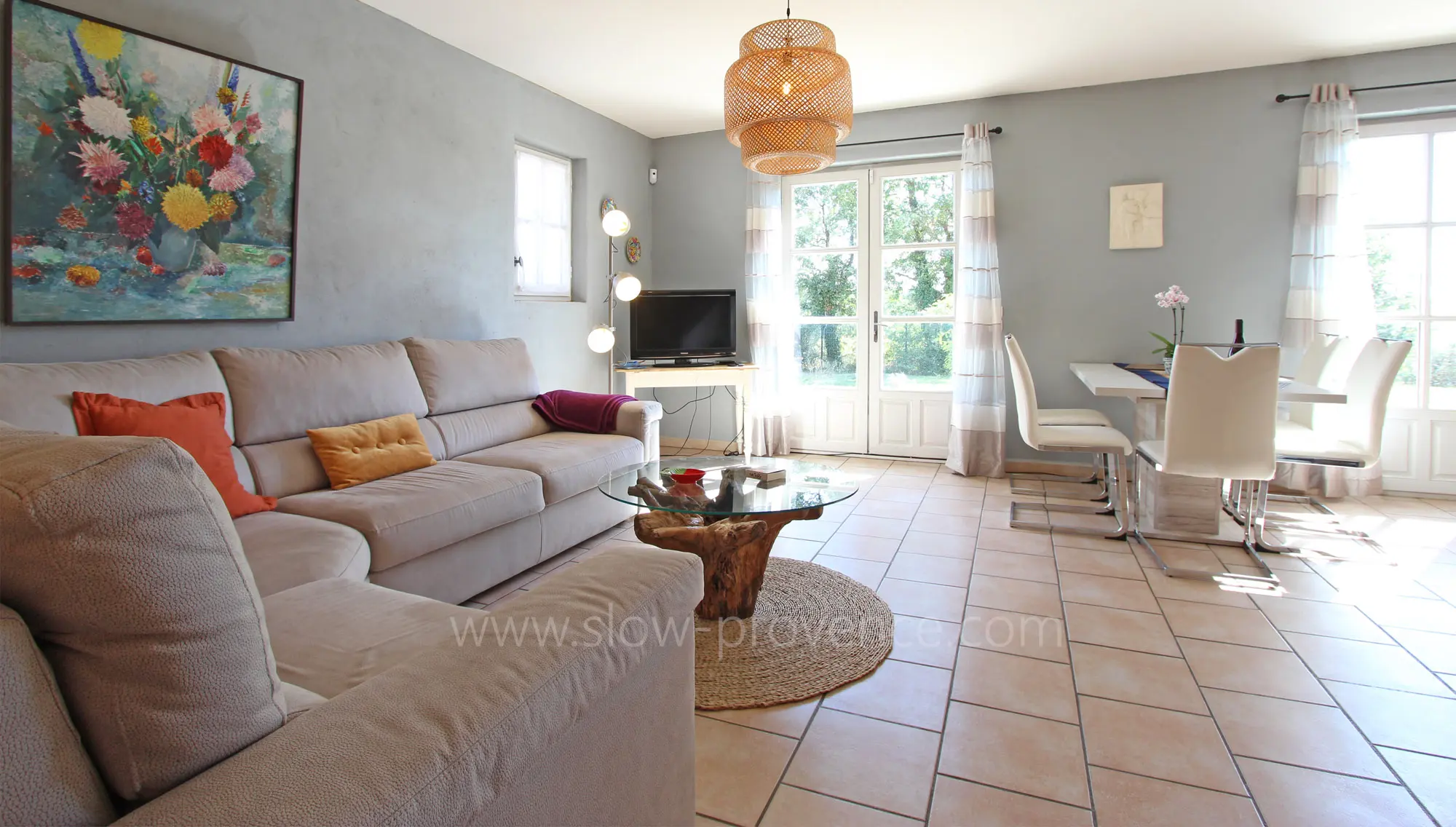 Salon avec TV