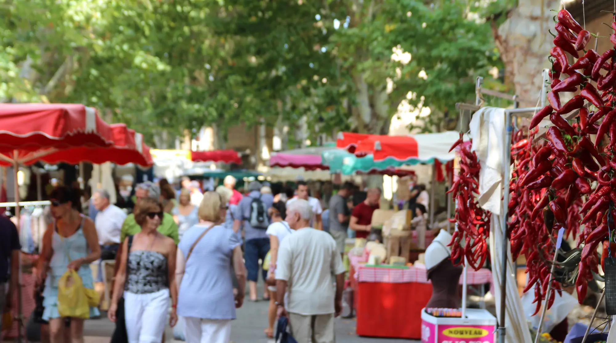 Le village et son marché, à 5 minutes à pied...