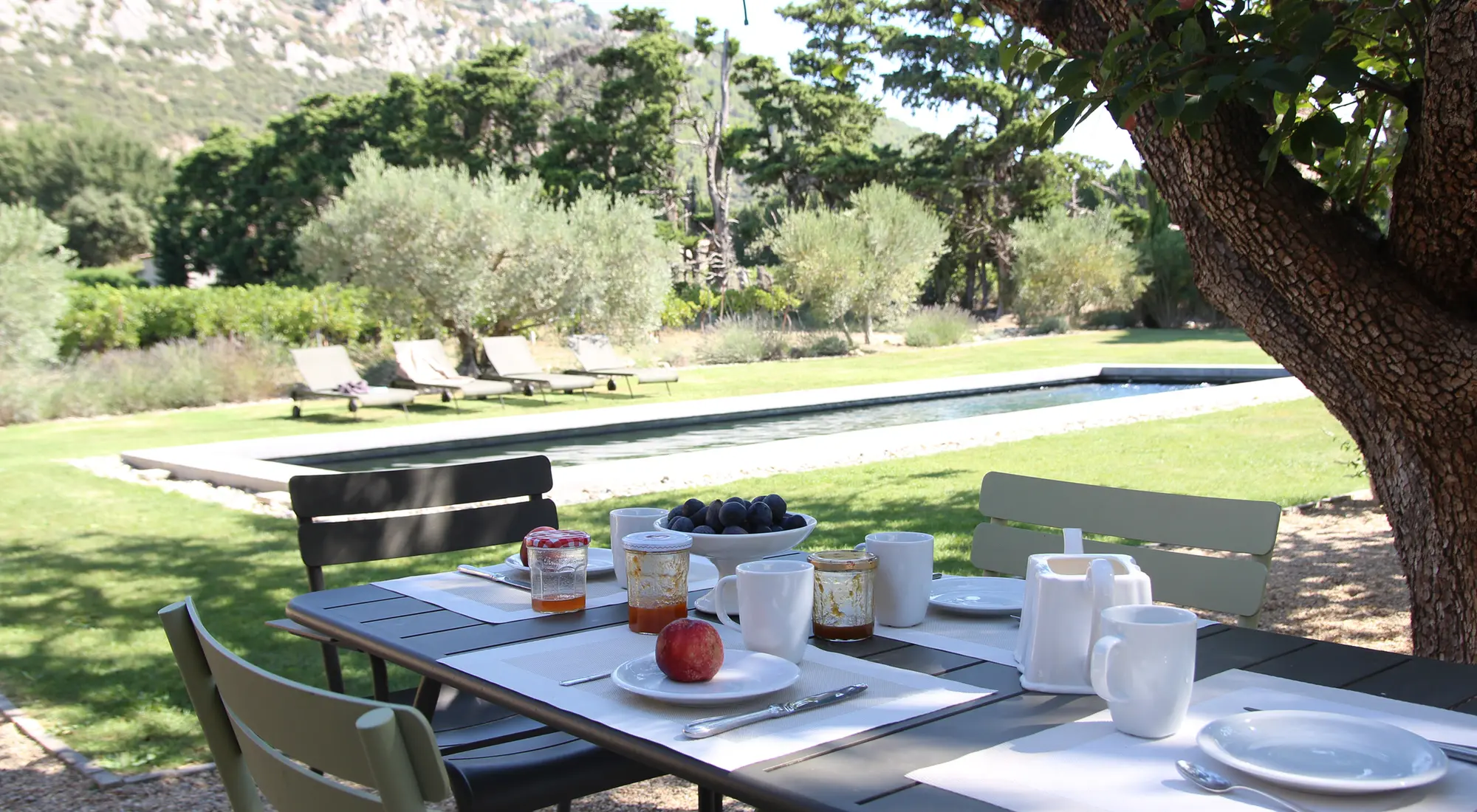 Terrasse ombragée pour d'agréables repas en famille