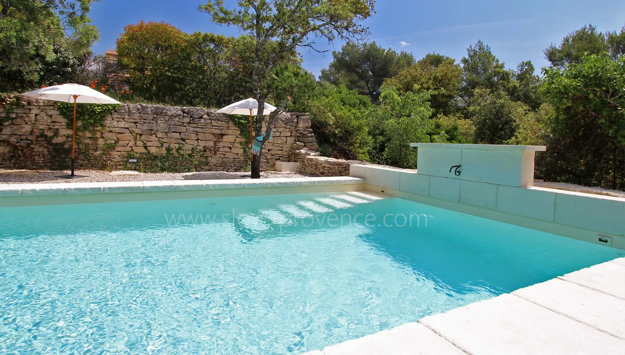 Grande piscine privée et chauffée